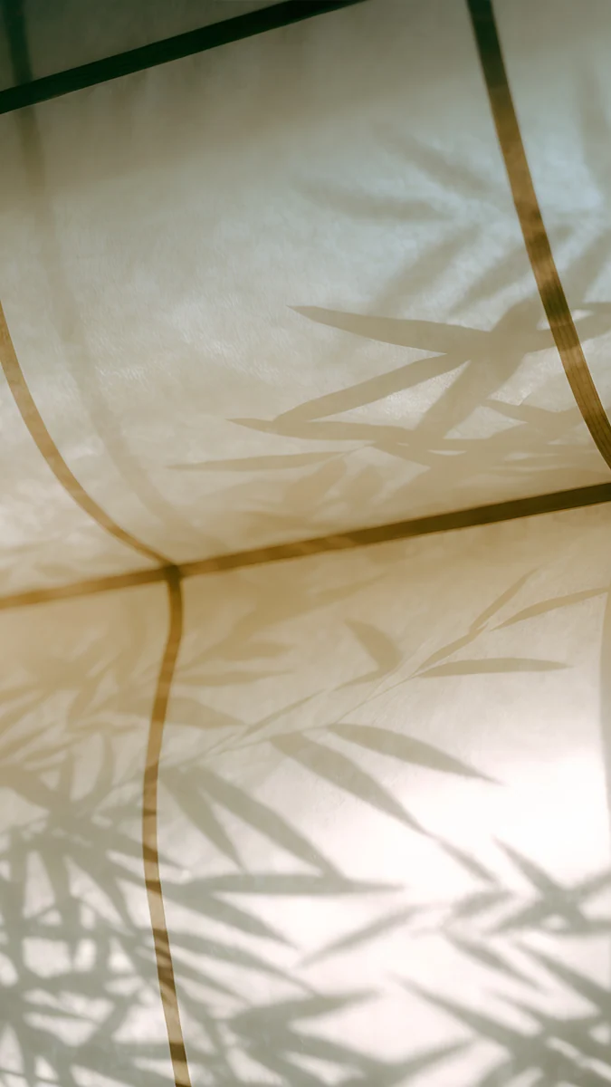 Bamboo Shadow — japan wallpaper