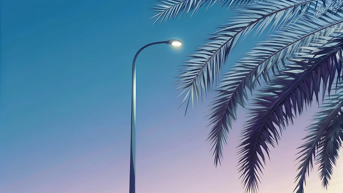 Boulevard Lamp Palms wallpaper 4K