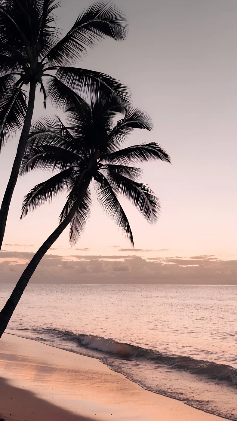 Coral Palms — nature wallpaper