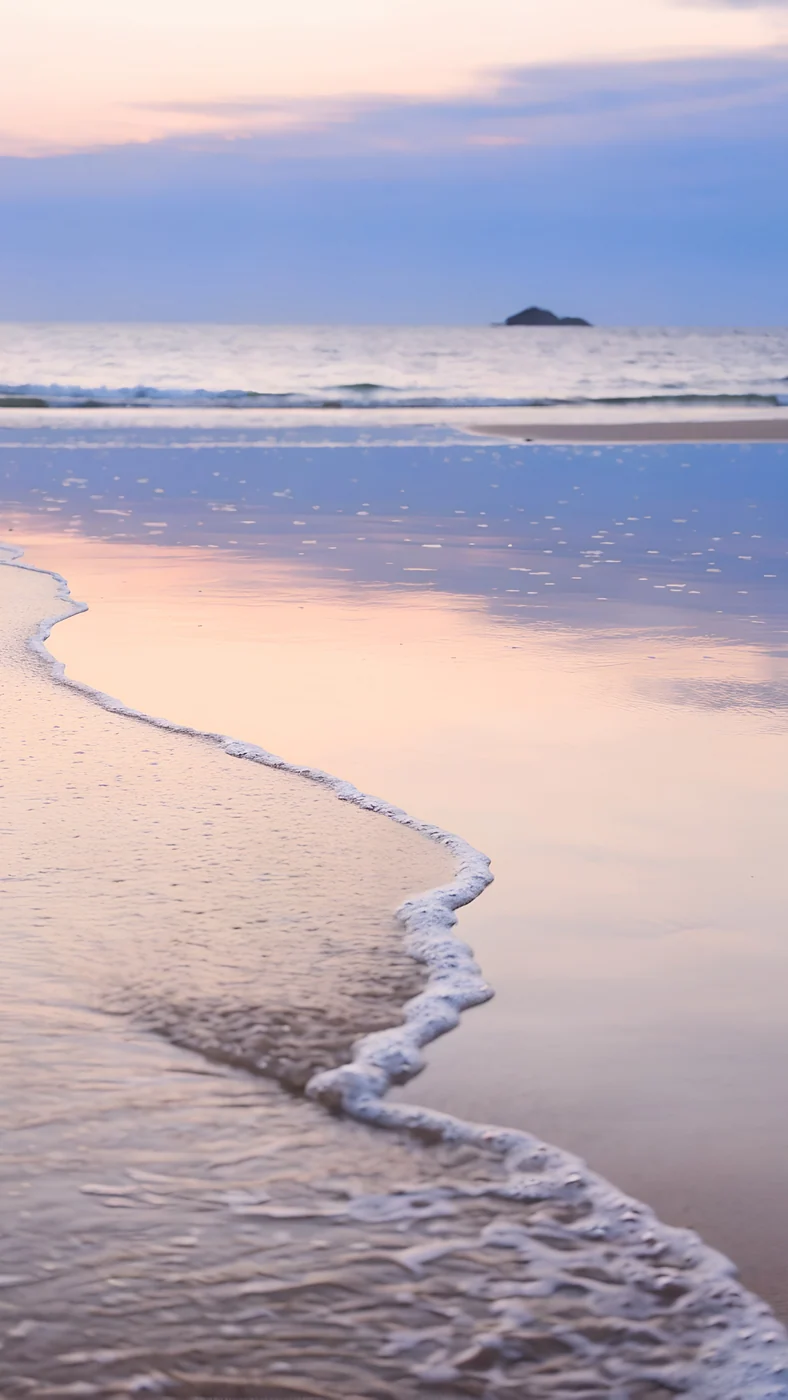 Coral Tide — nature wallpaper