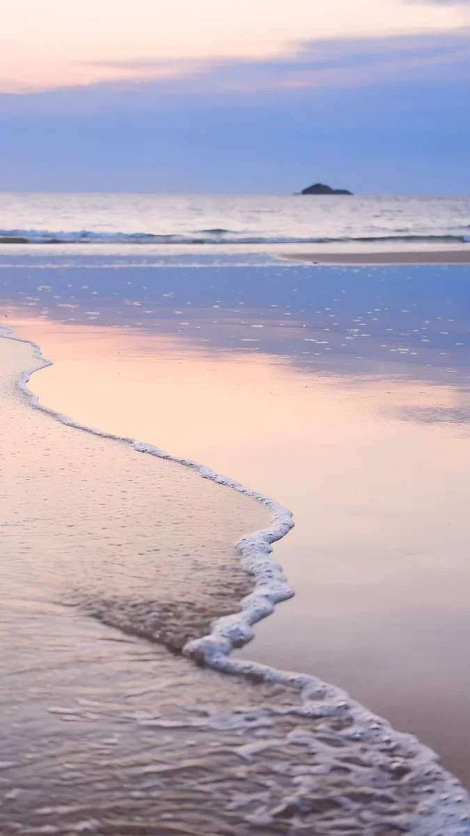 Coral Tide wallpaper 4K