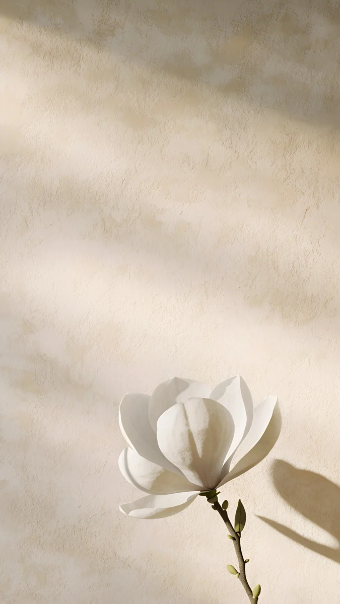 Magnolia Shadow wallpaper 4K