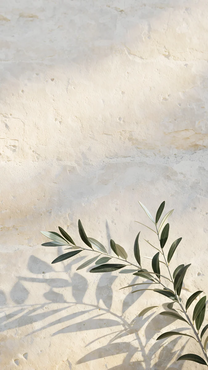 Olive Branch Shadow wallpaper 4K