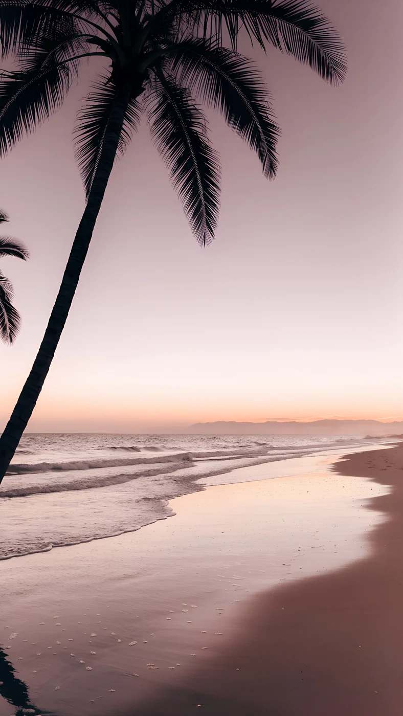 Palm Afterglow — nature wallpaper